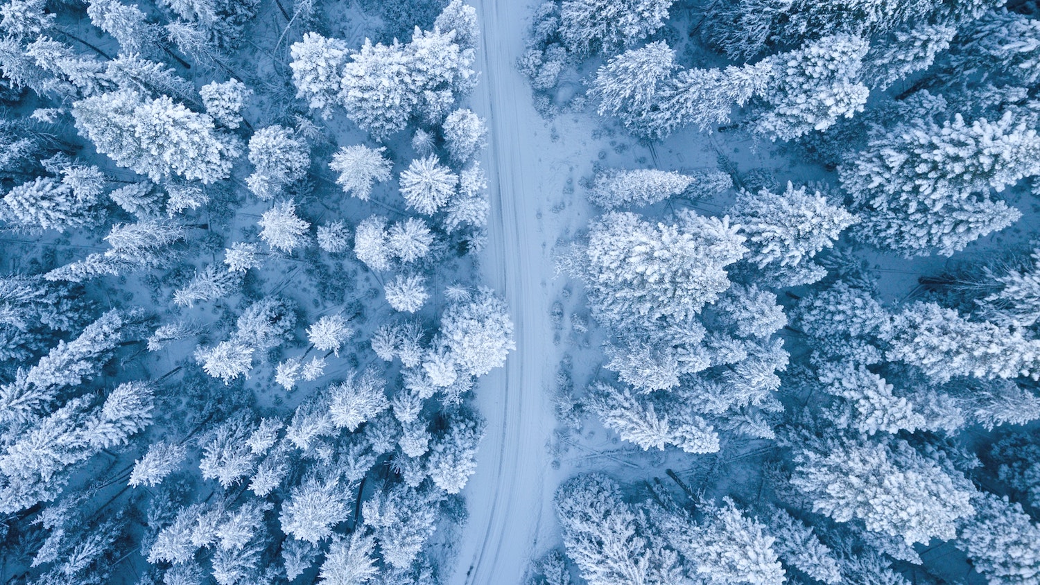 holiday driving accidents