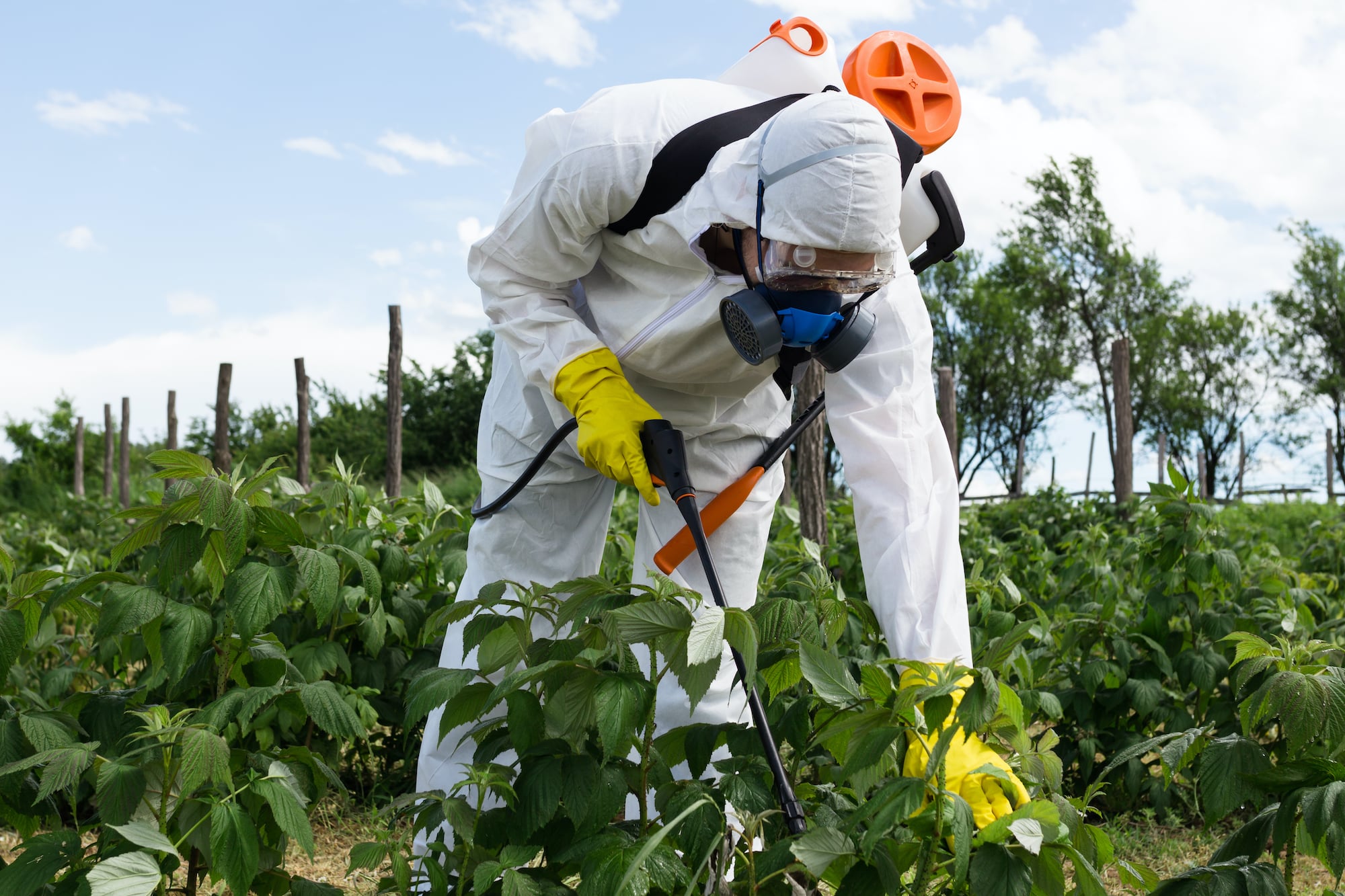 paraquat weed killer lawyer cleveland