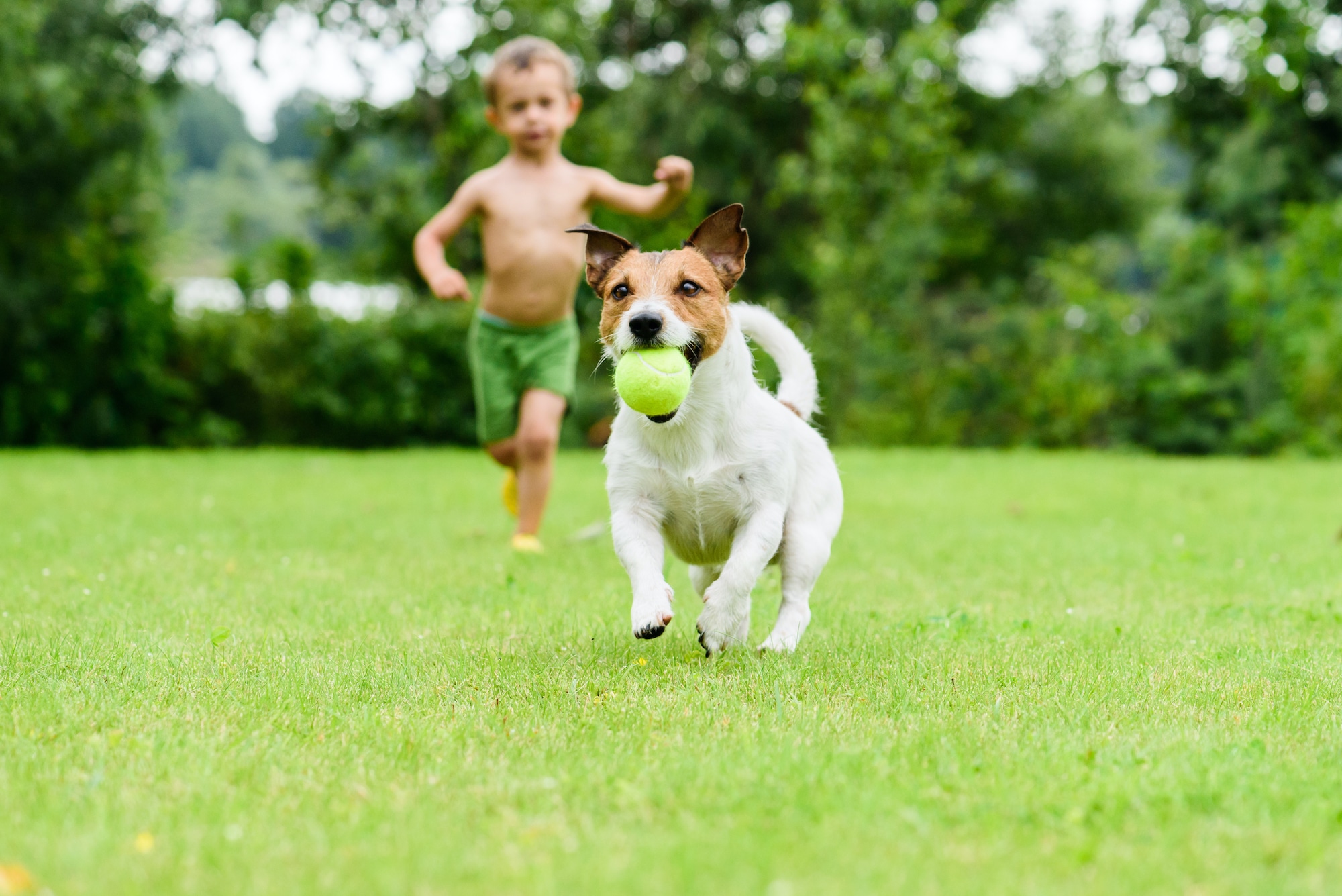 cleveland personal injury law