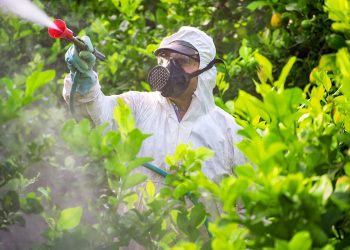 Pesticide Exposure
